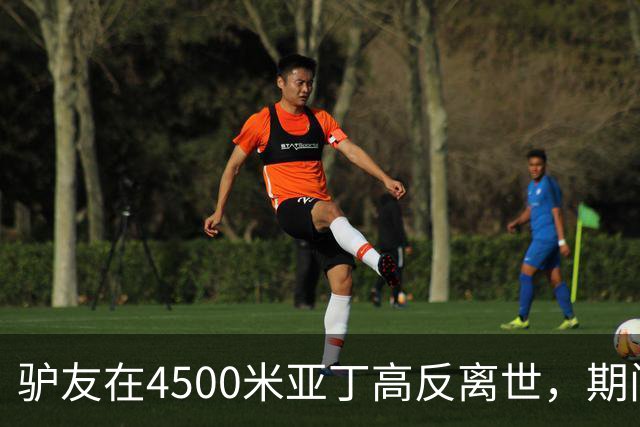 驴友在4500米亚丁高反离世，期间姐姐全网求免费直升机，牧民报价1万被她拉黑